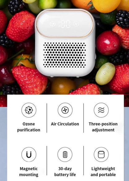 Smart Advanced Ozone Refrigerator Air Purifier